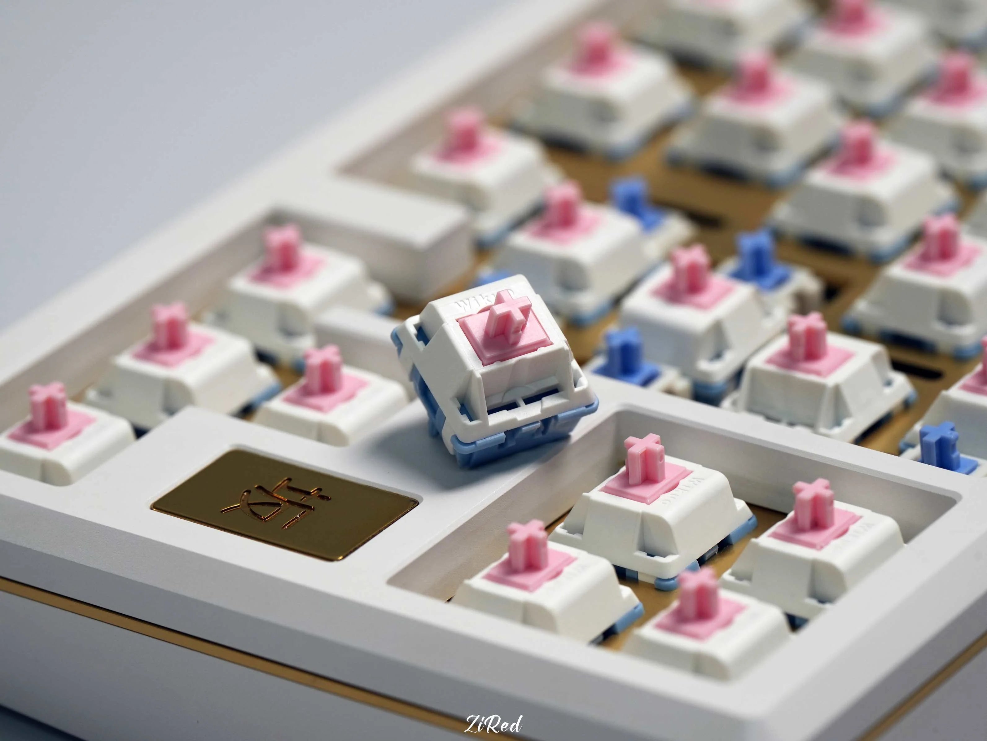 Fuyu Switch